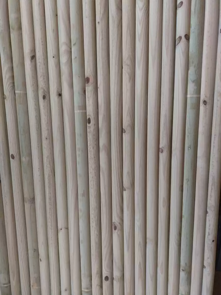 Imagem-do-WhatsApp-de-2024-01-18-as-11.02.48_2addb5b6