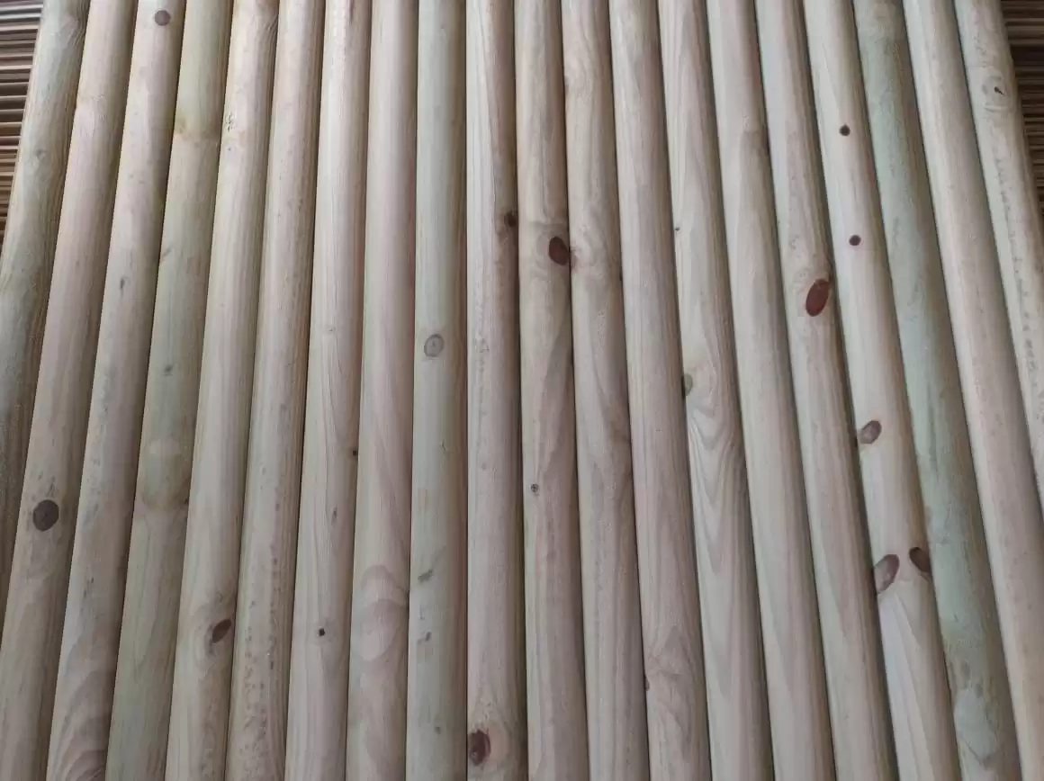 Imagem-do-WhatsApp-de-2024-01-18-as-11.02.48_72e66387