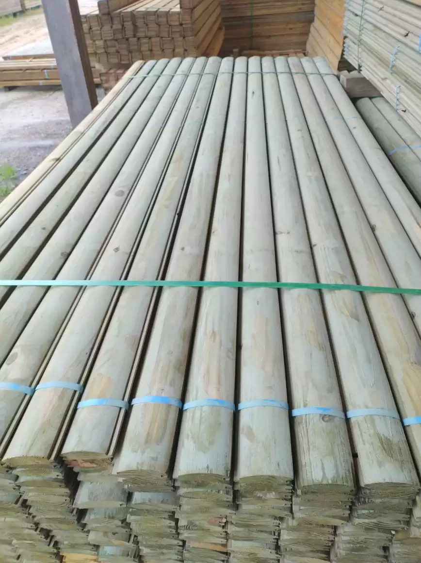 Imagem-do-WhatsApp-de-2024-01-18-as-11.02.48_be23decc