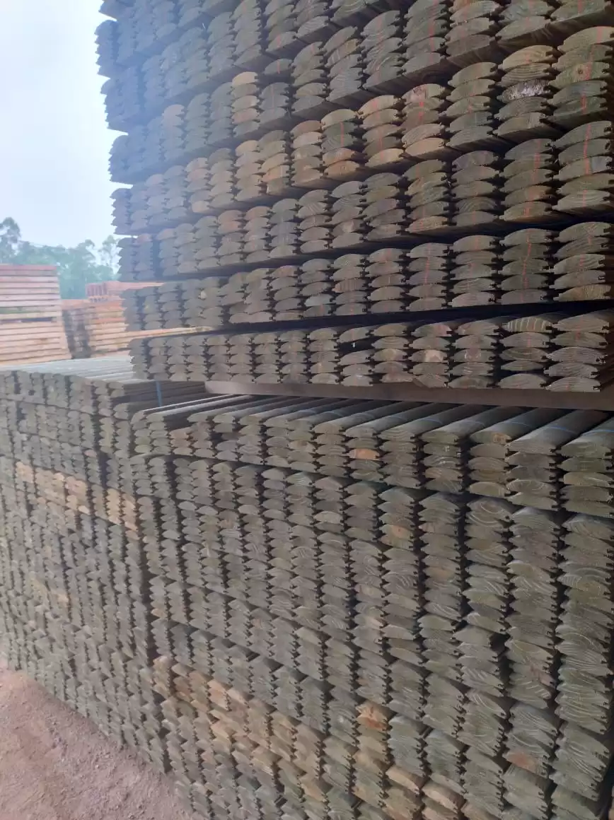 Imagem-do-WhatsApp-de-2024-01-18-as-11.02.49_0a448590