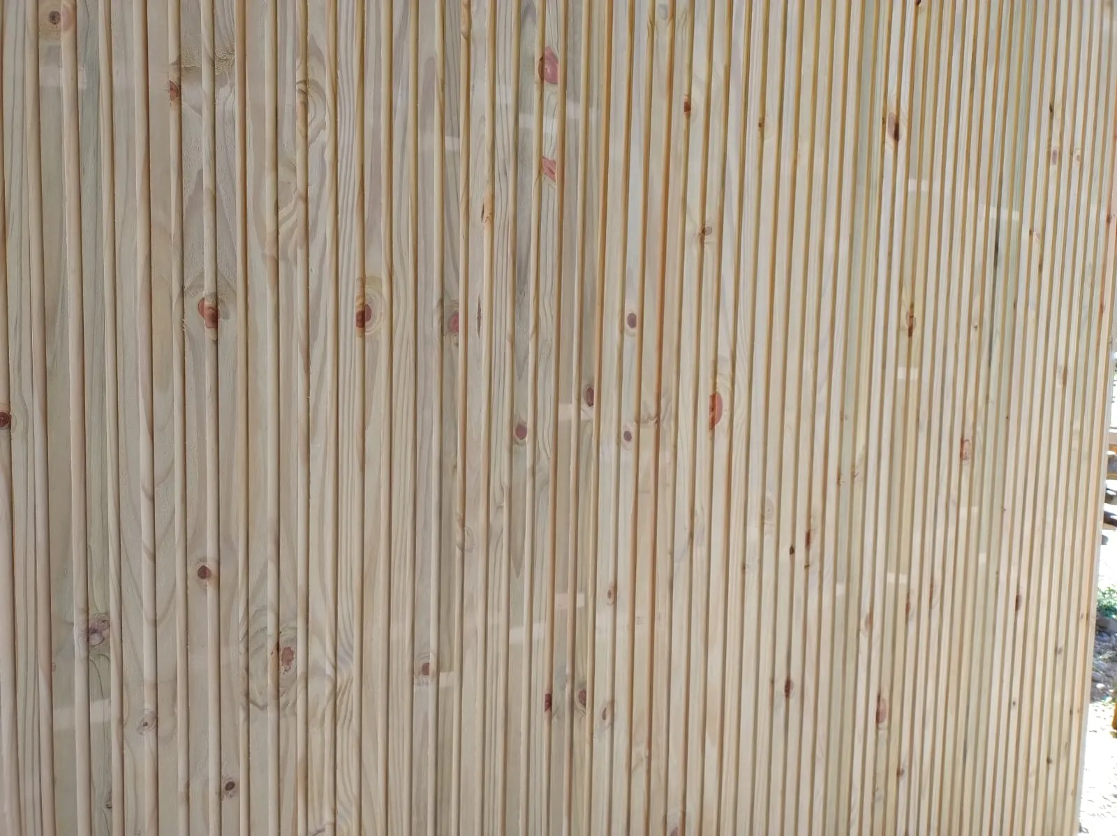 b417c976-1acf-46c0-93ab-b4d1bc880d83_11zon