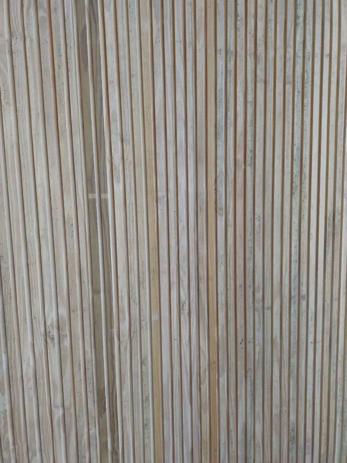 f05c953b-1dda-43f4-a302-8ff7fd37f7e4_11zon